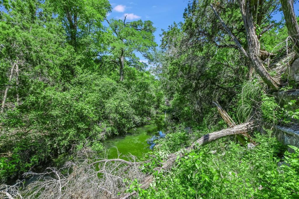 New Listing! 4 Bdrm Hill Country Home With Pool Austin Bagian luar foto
