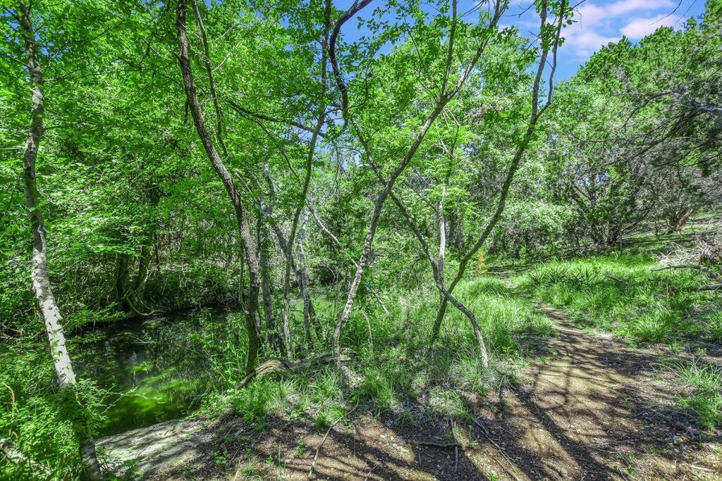 New Listing! 4 Bdrm Hill Country Home With Pool Austin Bagian luar foto